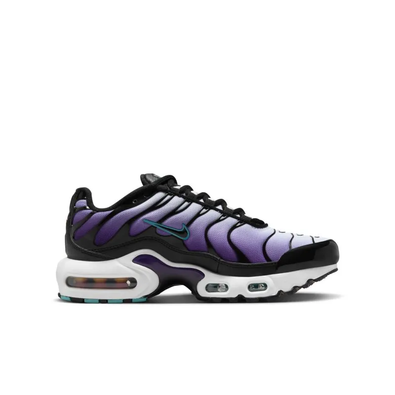 Nike Air Max Plus GS ‘Reverse Grape’ (FQ2412-500)