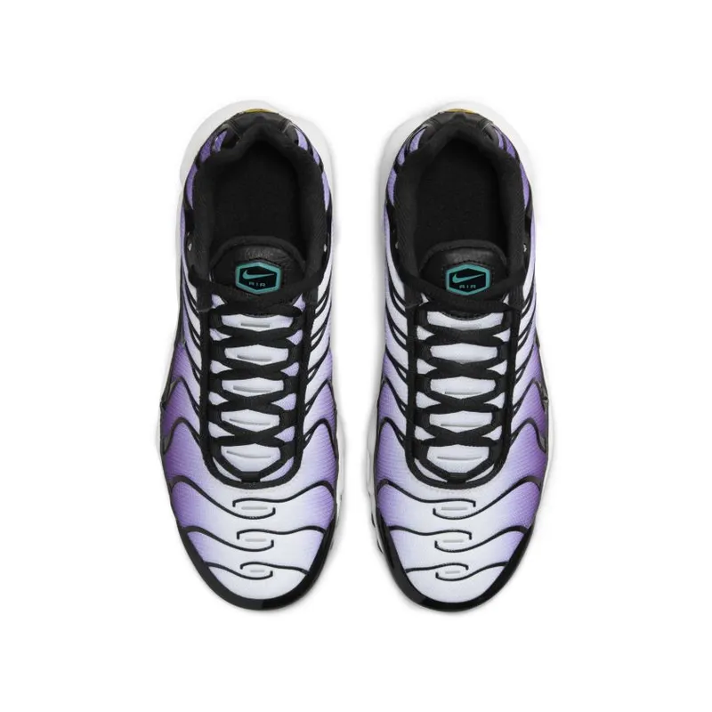 Nike Air Max Plus GS ‘Reverse Grape’ (FQ2412-500)