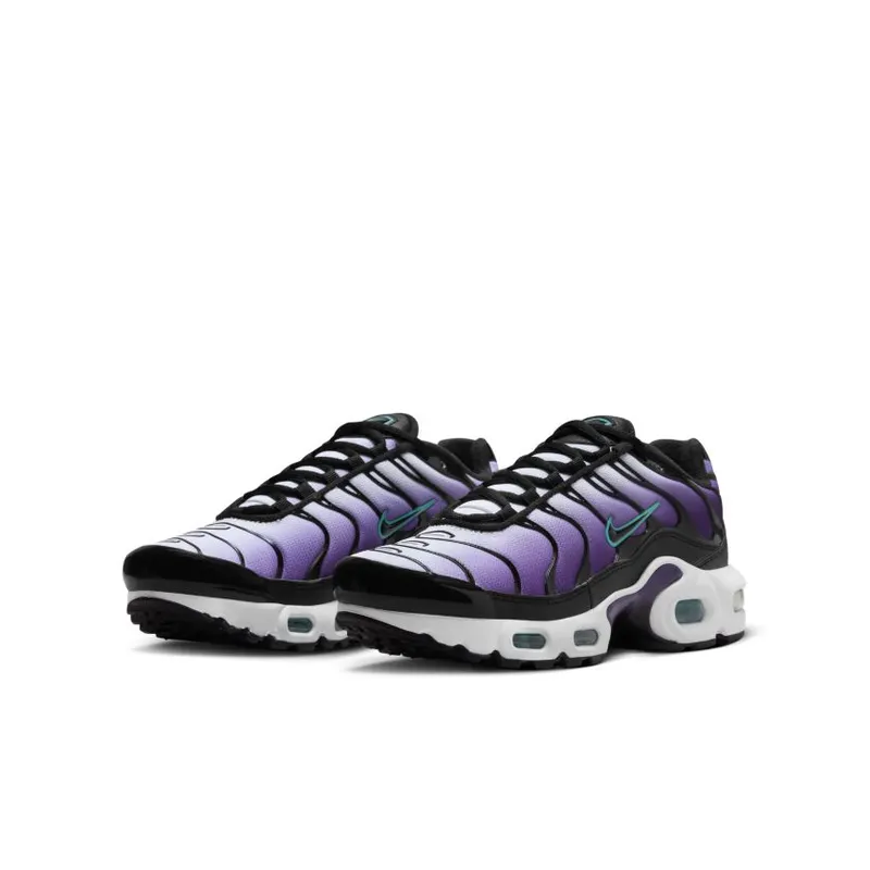 Nike Air Max Plus GS ‘Reverse Grape’ (FQ2412-500)