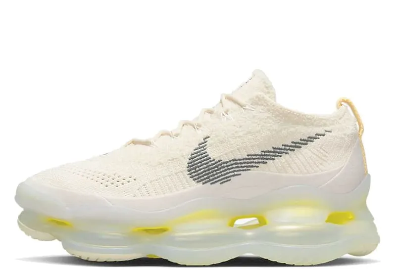 Nike WMNS Air Max Scorpion Phantom (DJ4702-0011)