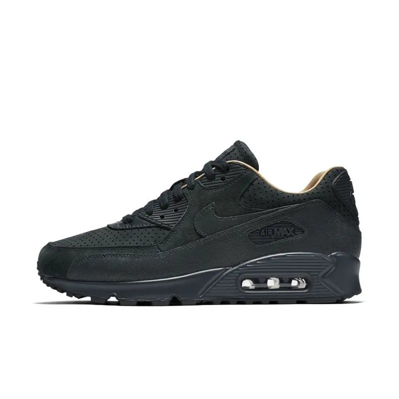 Nike WMNS Air Max 90 Pinnacle (839612-301)
