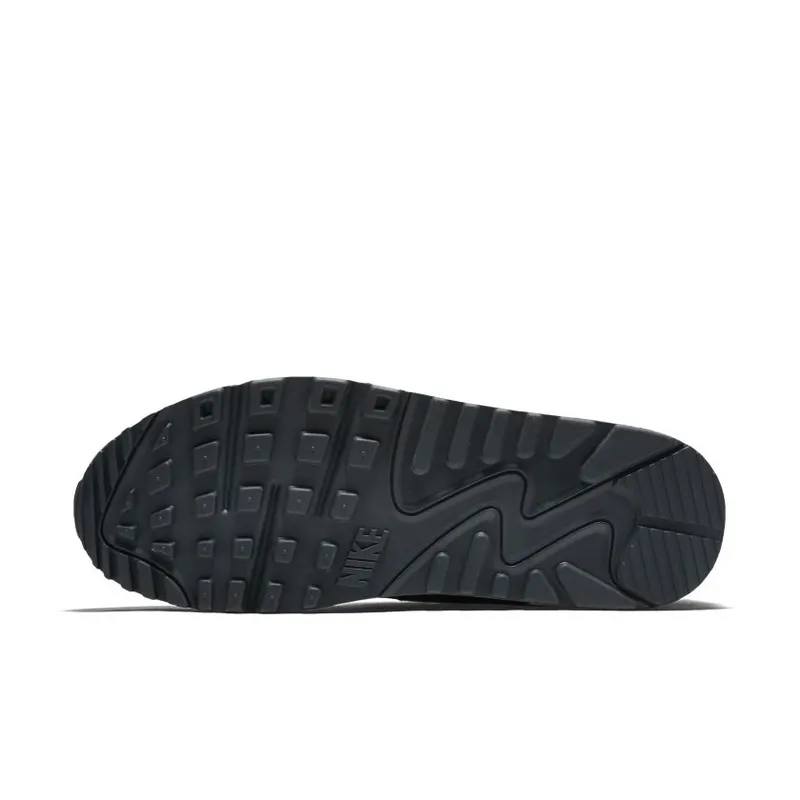 Nike WMNS Air Max 90 Pinnacle (839612-301)