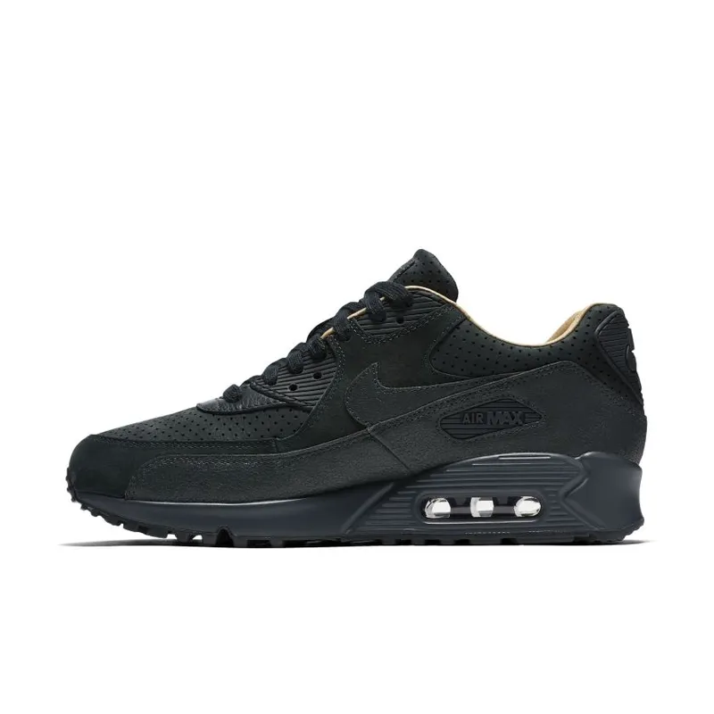 Nike WMNS Air Max 90 Pinnacle (839612-301)