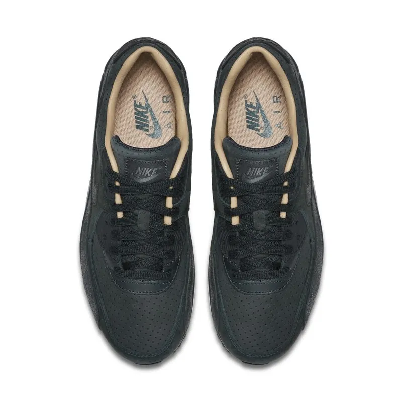Nike WMNS Air Max 90 Pinnacle (839612-301)