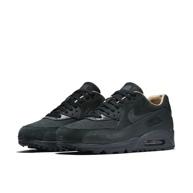 Nike WMNS Air Max 90 Pinnacle (839612-301)