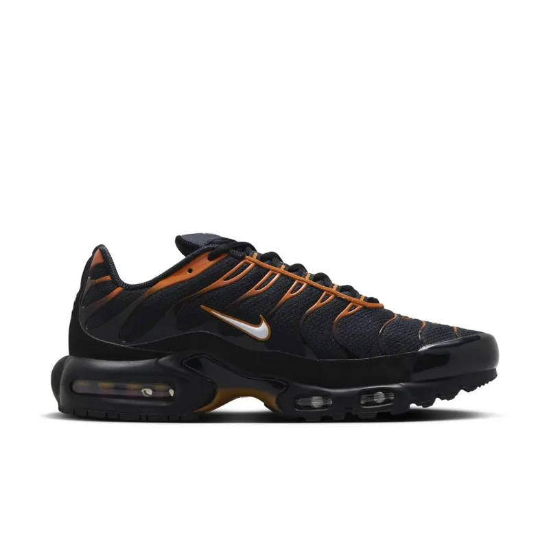 Nike Air Max Plus ‘Dark Obsidian & Monarch’ (FN6949-400)
