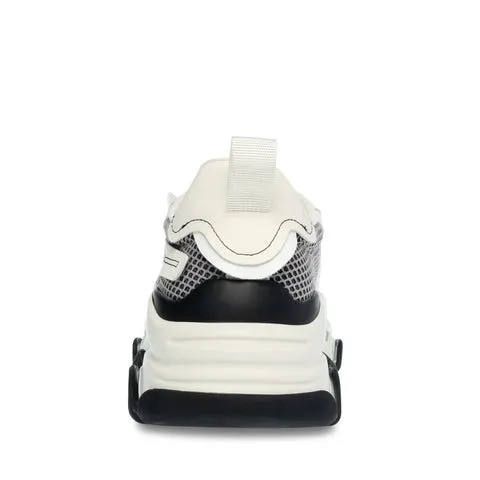 Steve Madden Possession-E Black/Bone