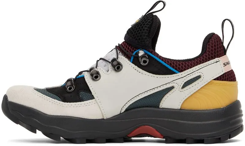 Salomon Multicolor Raid Wind Advanced LUNAR ROCK/ WINETAST (415770)