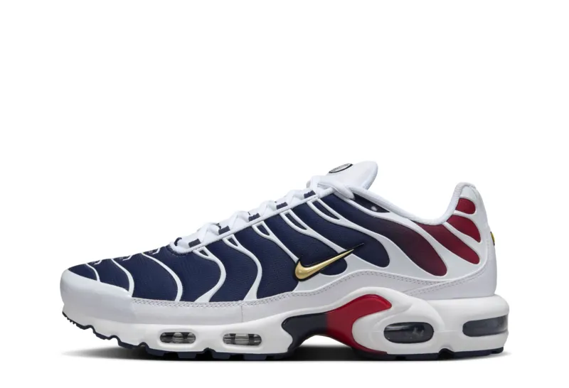 Nike x Paris Saint (FZ4776-100)