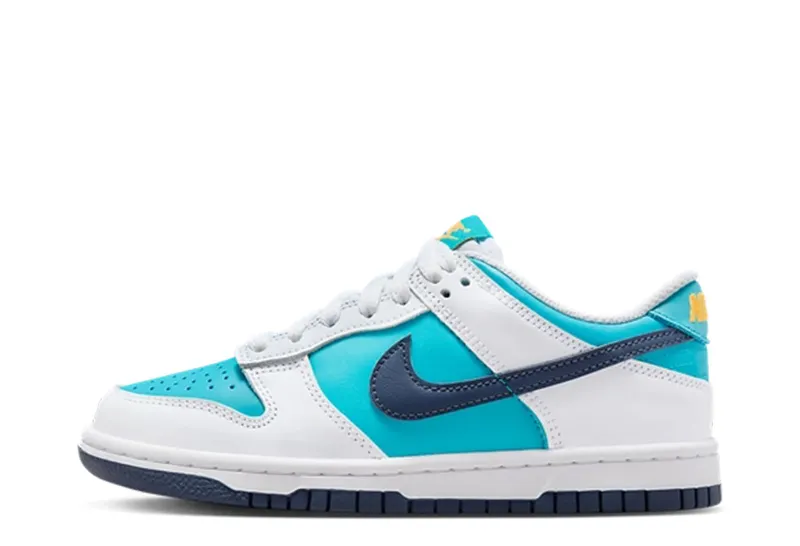 Nike Dunk Low GS Dusty Cactus (HF4794-345)