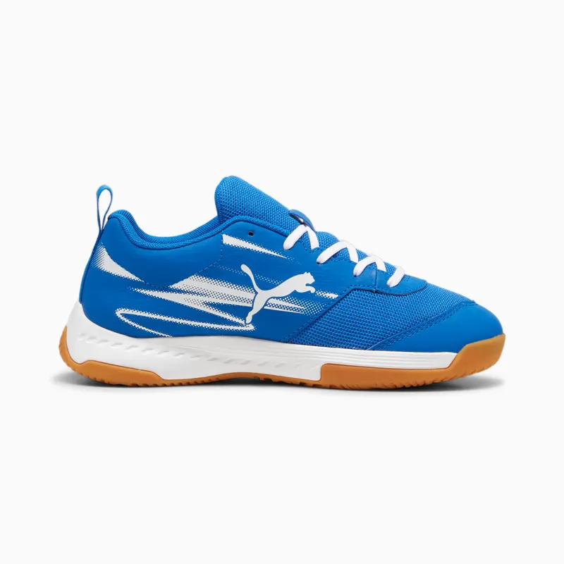 Puma Varion II zaalschoenen Wit/Blauw (108105-03)