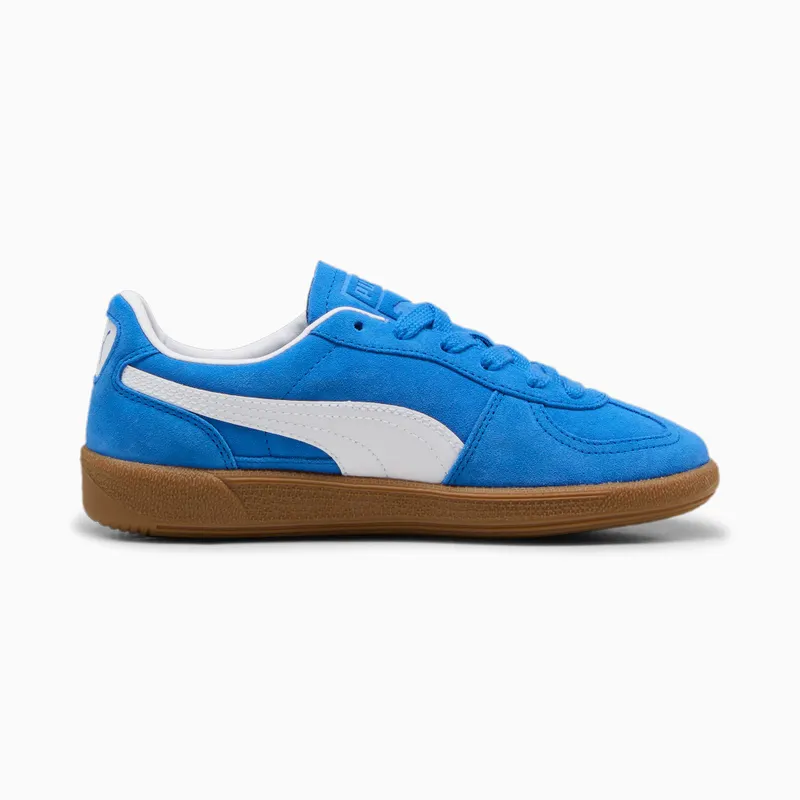 Puma Palermo Blauw/Wit (397271-11)