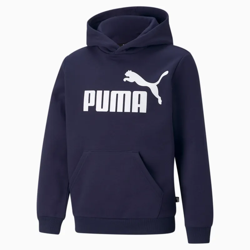 Puma Essentials Big Logo hoodie Blauw (586965-06)
