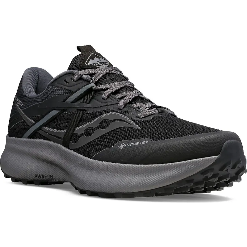 Saucony Ride 15 TR GTX Black / Charcoal (S20799-10)