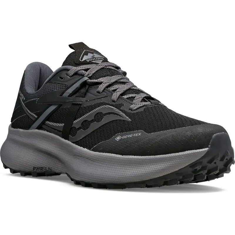 Saucony Ride 15 TR GTX Black / Charcoal (S10799-10)