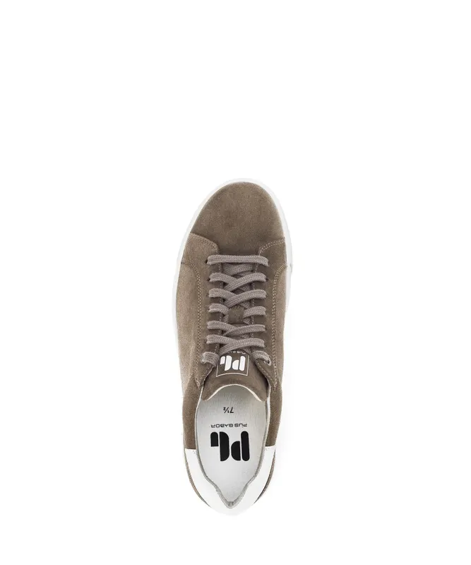 Gabor Sneaker low Beige (0460.23.06)