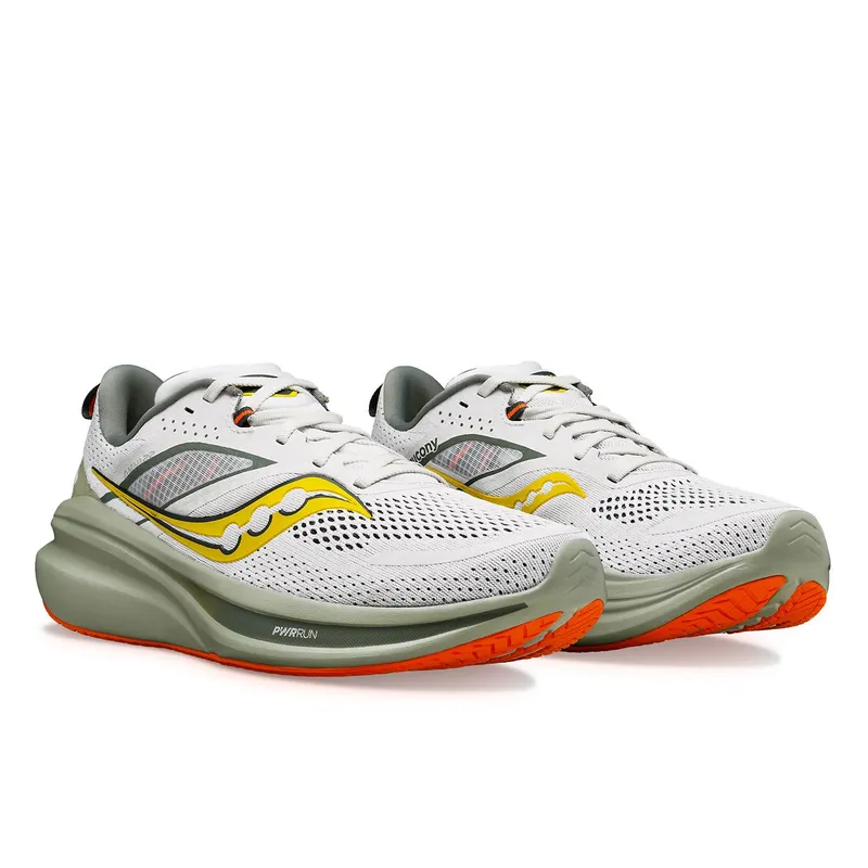 Saucony Omni 22 Fog / Bough (S20926-110)