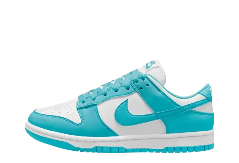 Nike Dunk Low Next Nature Dusty Cactus (DD1873-105)