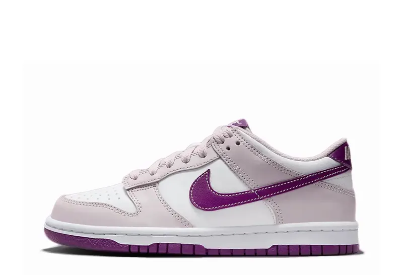 Nike Dunk Low GS Light Mauve Plum (FB9109-104)