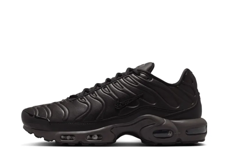 Nike Air Max Plus PRM Black Tea (HJ4519-200)
