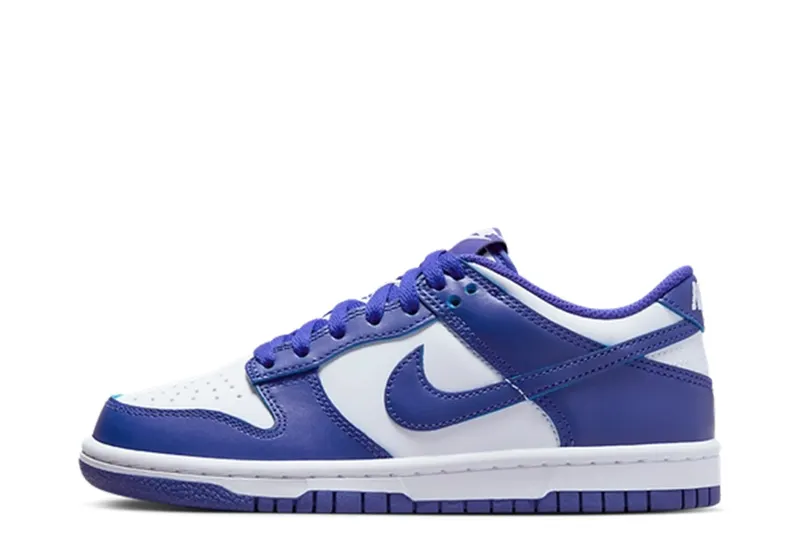 Nike Dunk Low GS Concord (FB9109-106)