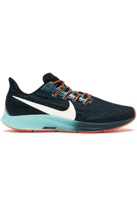 Nike Air Zoom Pegasus 36 Black (CD4573-001)