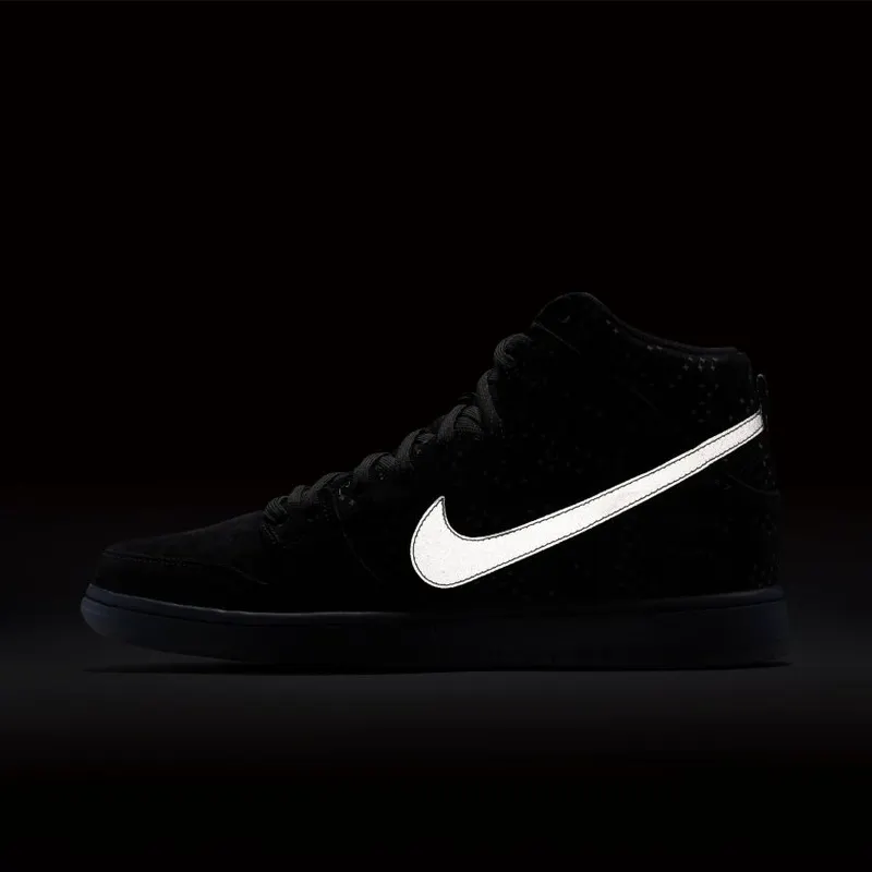Nike Dunk High Flash Pack Black Ice (806333-001)