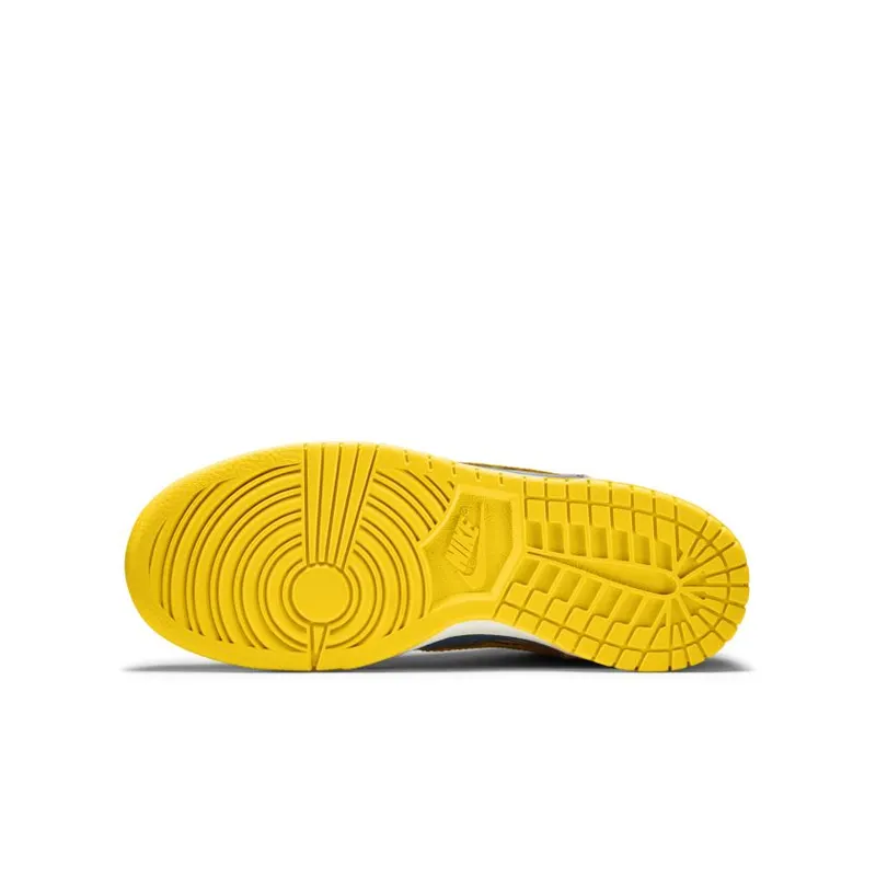 Nike Dunk High Scribble (GS) (728443-100)
