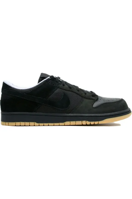 Nike Dunk Low Anthracite Astro (304714-009)