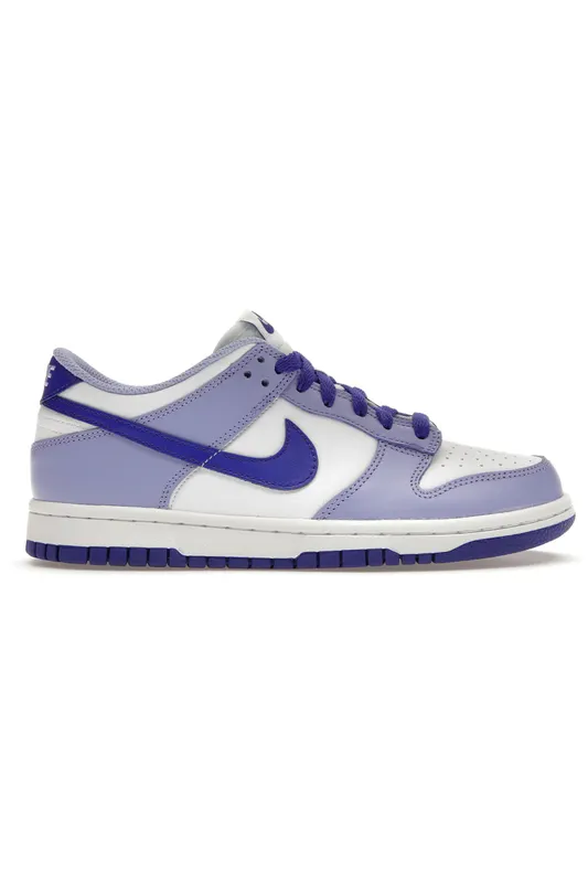 Nike Dunk Low Blueberry (GS) (DZ4456-100)