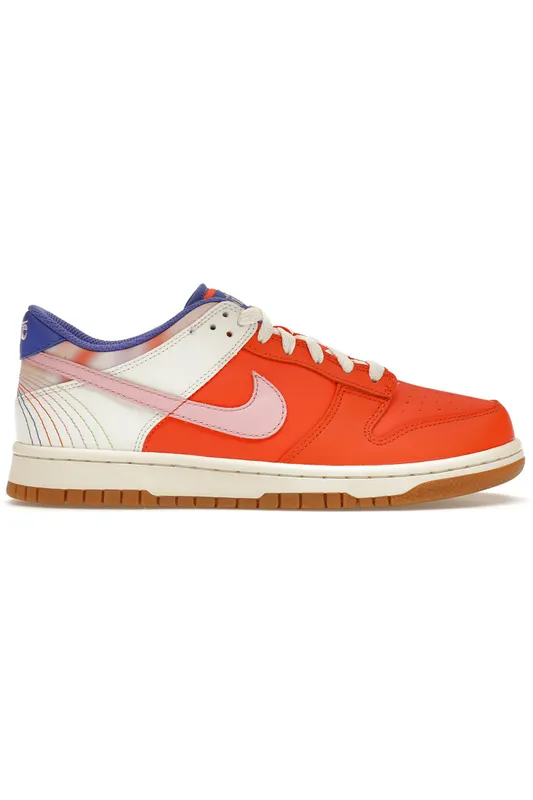 Nike Dunk Low SE Everything You Need (GS) (FN0600-801)