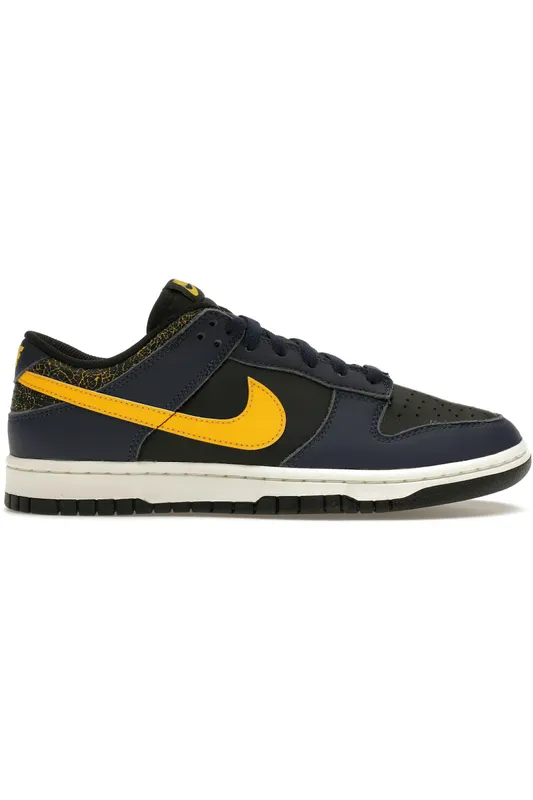 Nike Dunk Low Vintage Michigan (FZ4014-010)