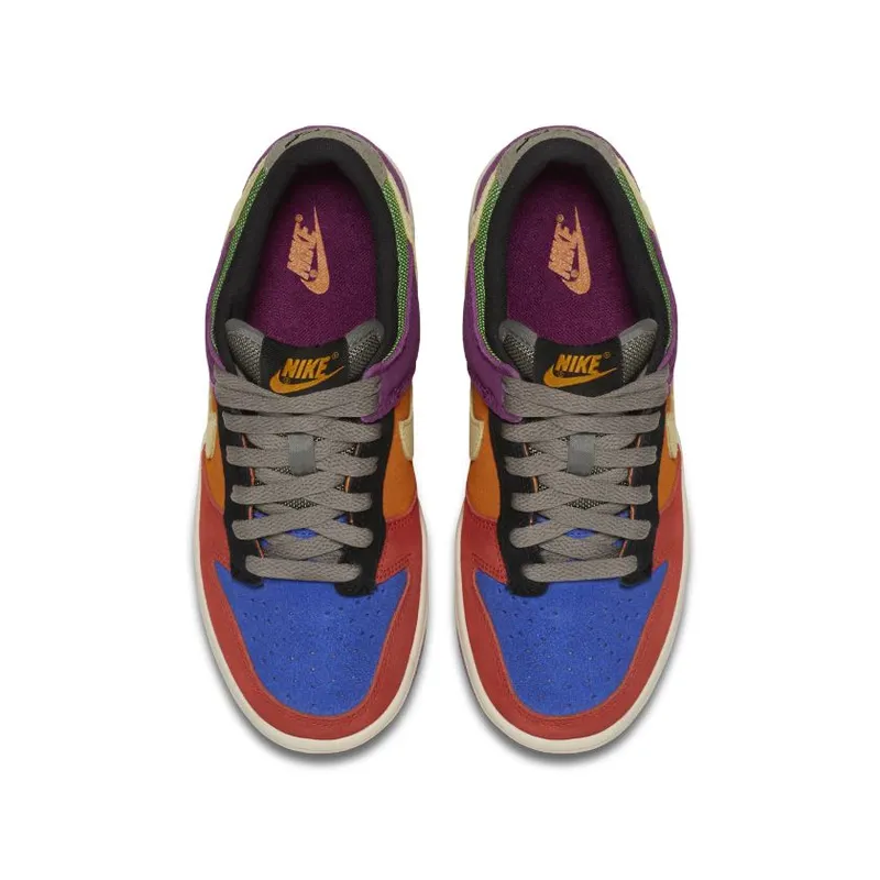 Nike Dunk Low Viotec (GS) (802344-500)