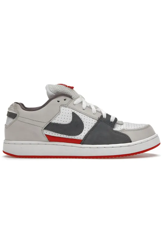 Nike SB Zoom Team Edition Family (311665-101)