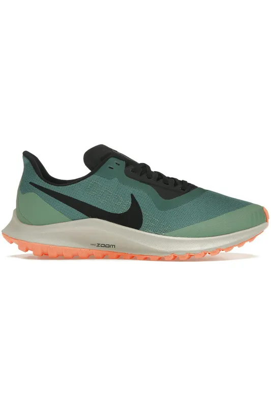 Nike Zoom Pegasus 36 Trail Gore-Tex Bicoastal (Women’s) (BV7763-300)