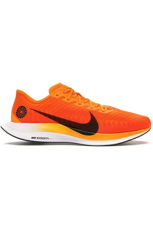 Nike Zoom Pegasus Turbo 2 Blue Ribbon Sports (CK9661-800)