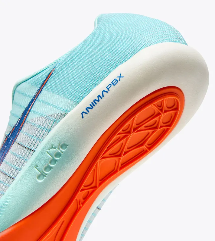 Diadora Velocita Carbon Spa Retreat / Lapis Blue (101.180230_D1243)