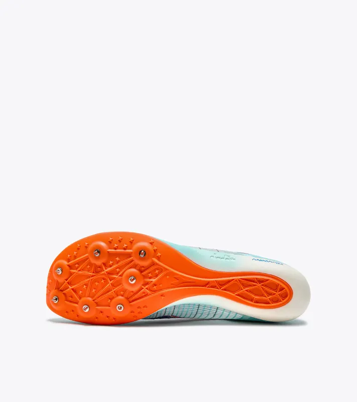 Diadora Velocita Carbon Spa Retreat / Lapis Blue (101.180230_D1243)