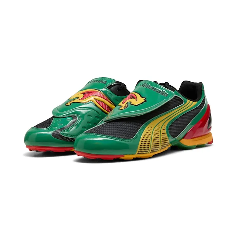 Puma V (405836-01)