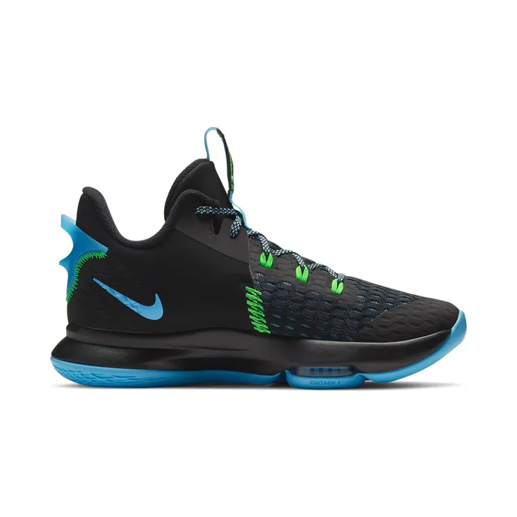 lebron-witness-5 CQ9380-004