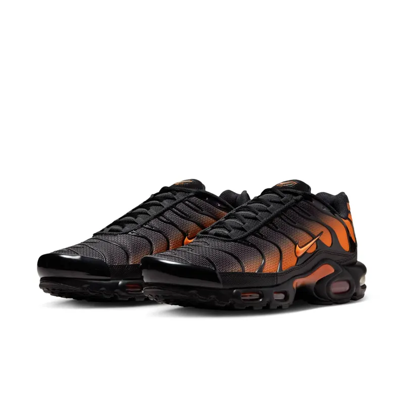 Nike Air Max Plus Black (DM0032-025)