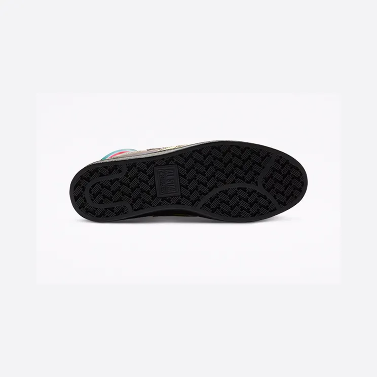 converse-pro-leather 170494C