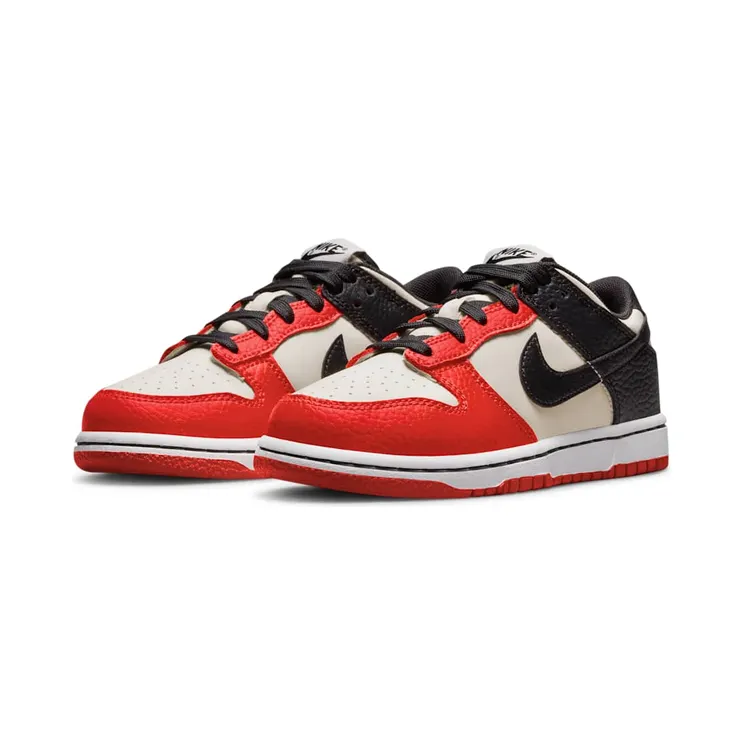 nike-dunk DC9564-100