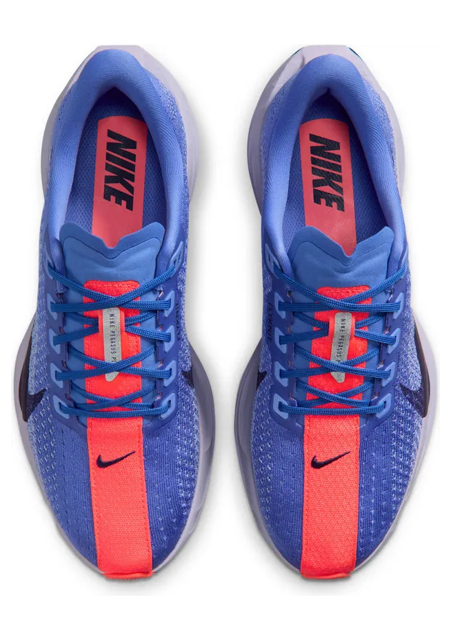 nike-air-pegasus FQ7261-503