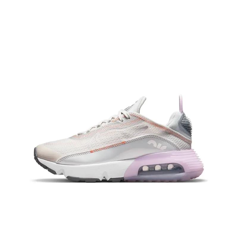 Nike Air Max 2090 Grey (CJ4066-014)