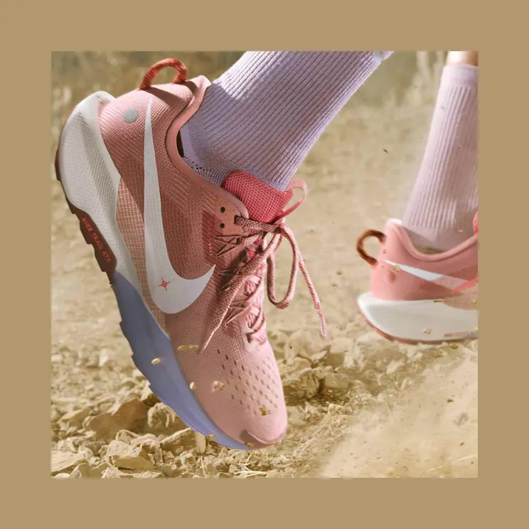 nike-air-pegasus DV3865-600