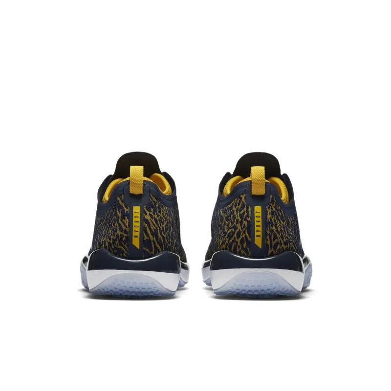 Jordan Trainer 1 Low Michigan College Navy/White-Amarillo (845403-420)