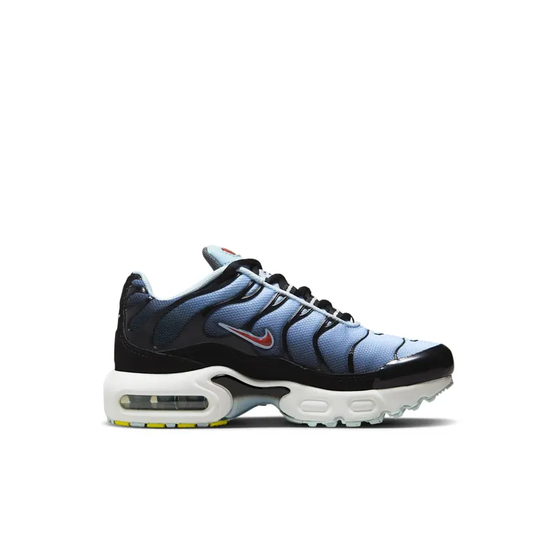 Nike Air Max Plus Black Blue Tint Light Smoke Grey Rugged Orange (CD0610-023)