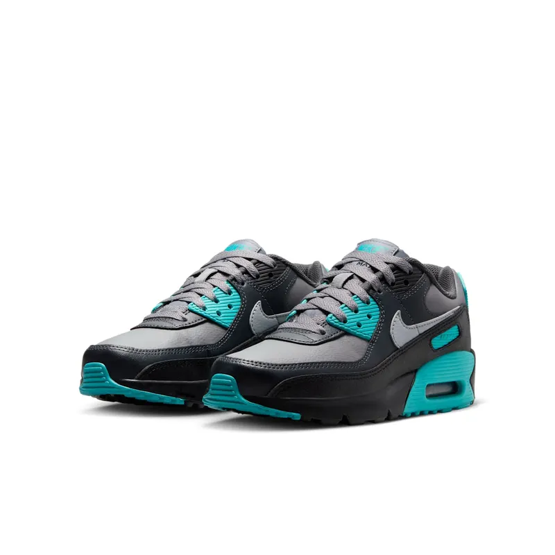 Nike Air Max 90 LTR Cool Grey Dusty Cactus Black Wolf Grey (CD6864-027)