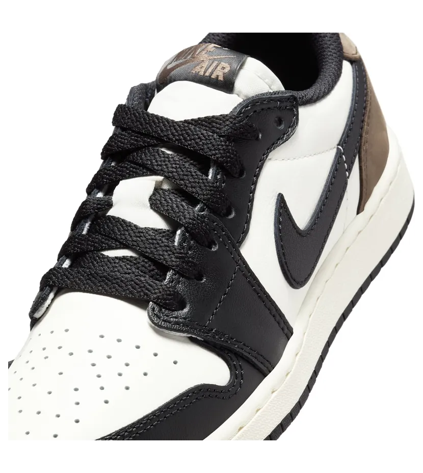 air-jordan-1 CZ0858-102